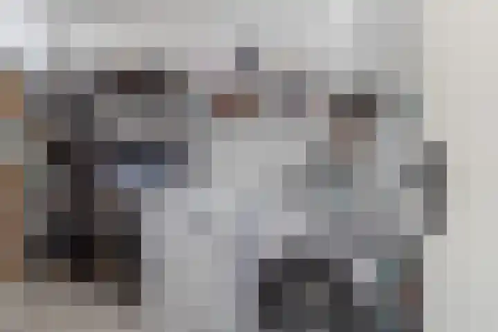 Navolaan 11 Heerlen thumbnail 14