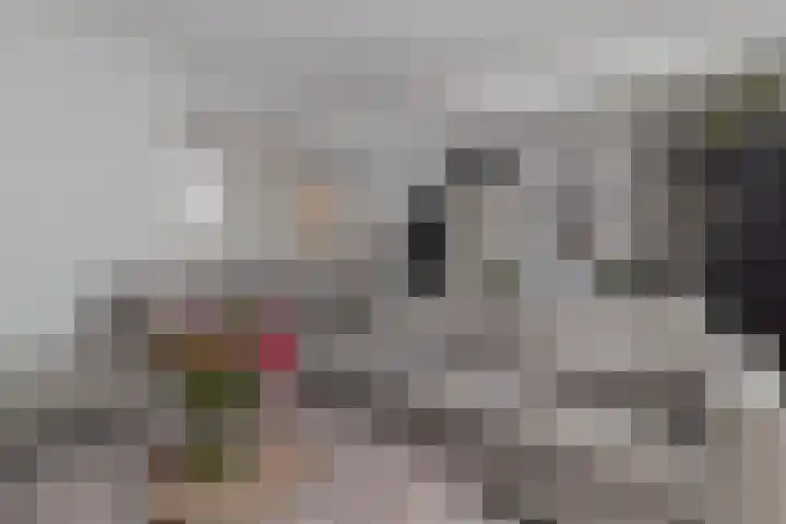 Navolaan 11 Heerlen thumbnail 4