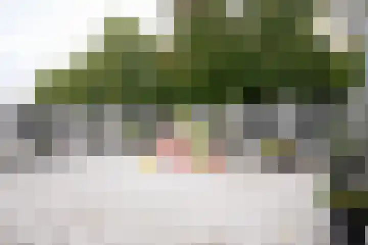 Navolaan 112 Heerlen thumbnail 28