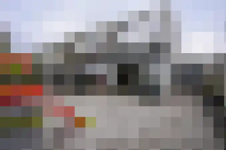 Navolaan 112 Heerlen thumbnail 30