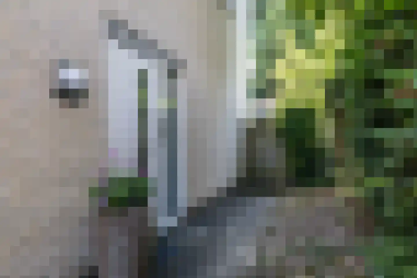 Navolaan 12 A Heerlen thumbnail 49