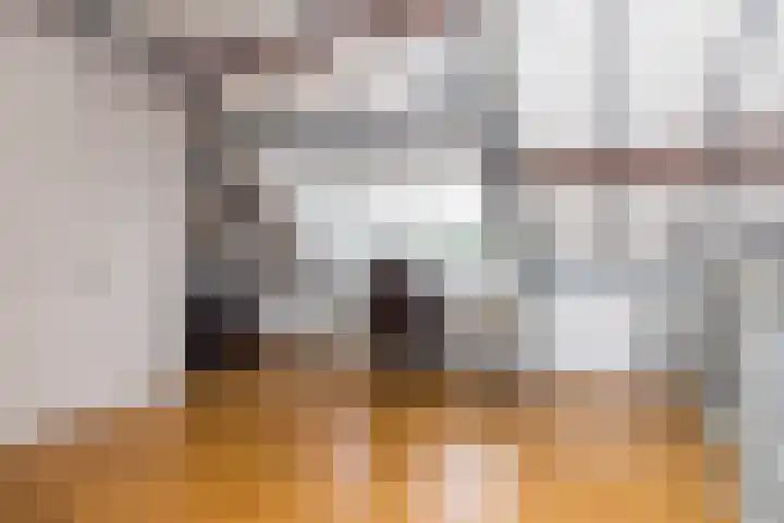Navolaan 3 Heerlen thumbnail 23
