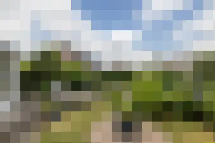 Navolaan 3 Heerlen thumbnail 26