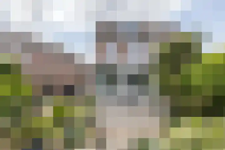 Navolaan 3 Heerlen thumbnail 28