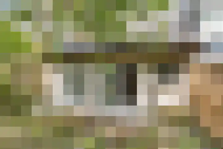 Navolaan 74 Heerlen thumbnail 31