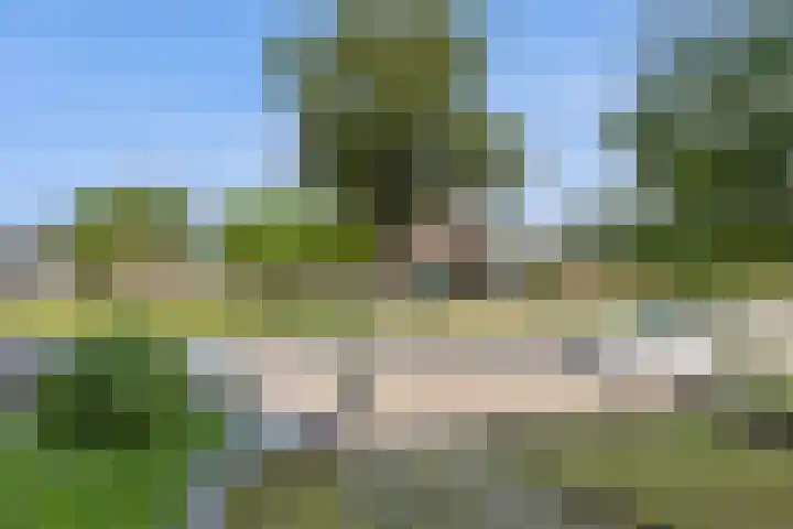 Navolaan 74 Heerlen thumbnail 39
