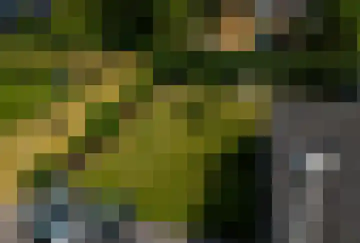 Navostraat 15 Landgraaf thumbnail 29