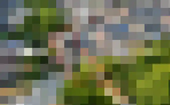 Navostraat 15 Landgraaf thumbnail 39