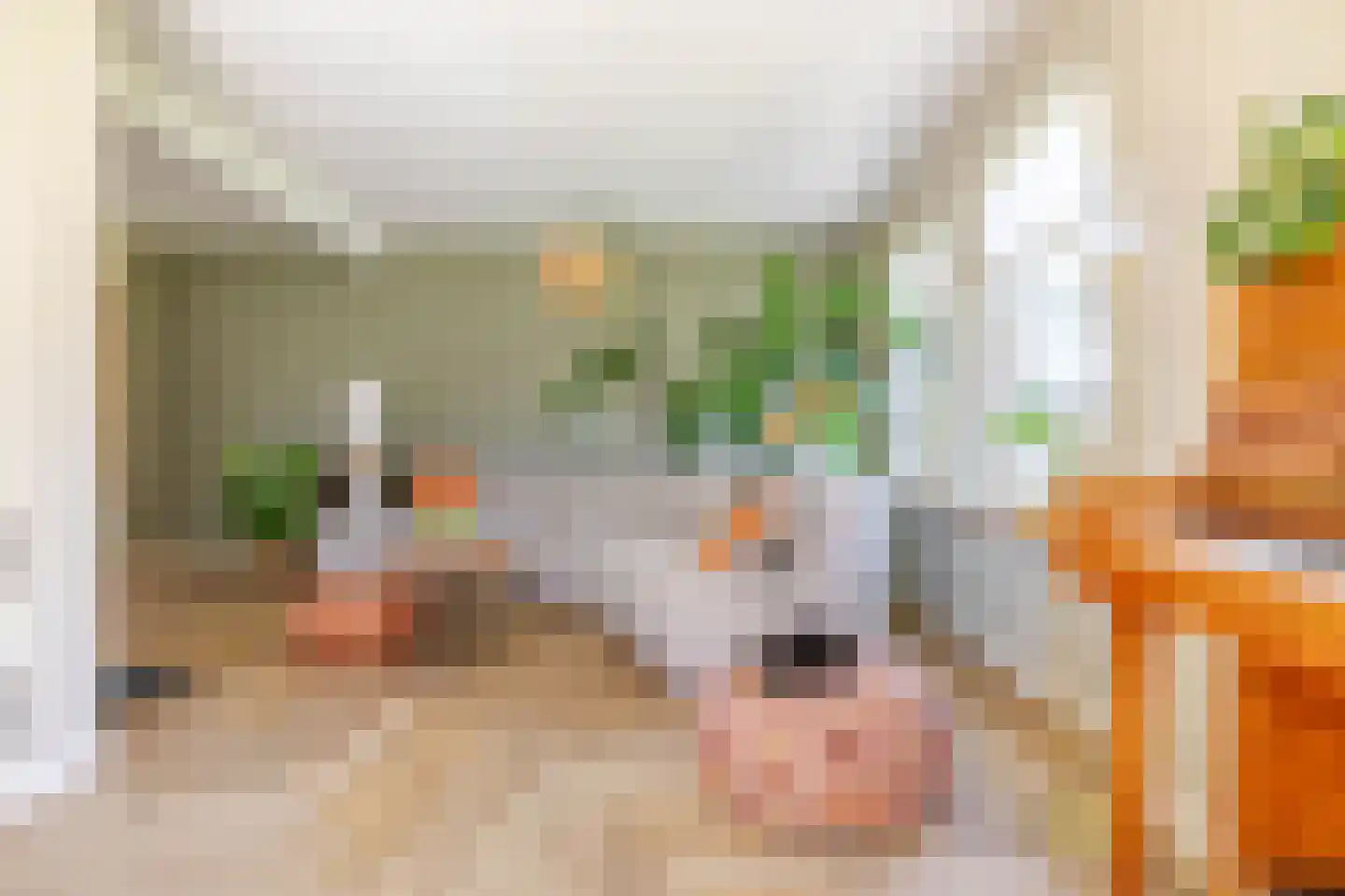 Naweg 11 Gieten thumbnail 12