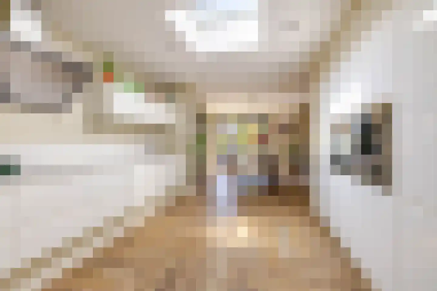 Naweg 11 Gieten thumbnail 16