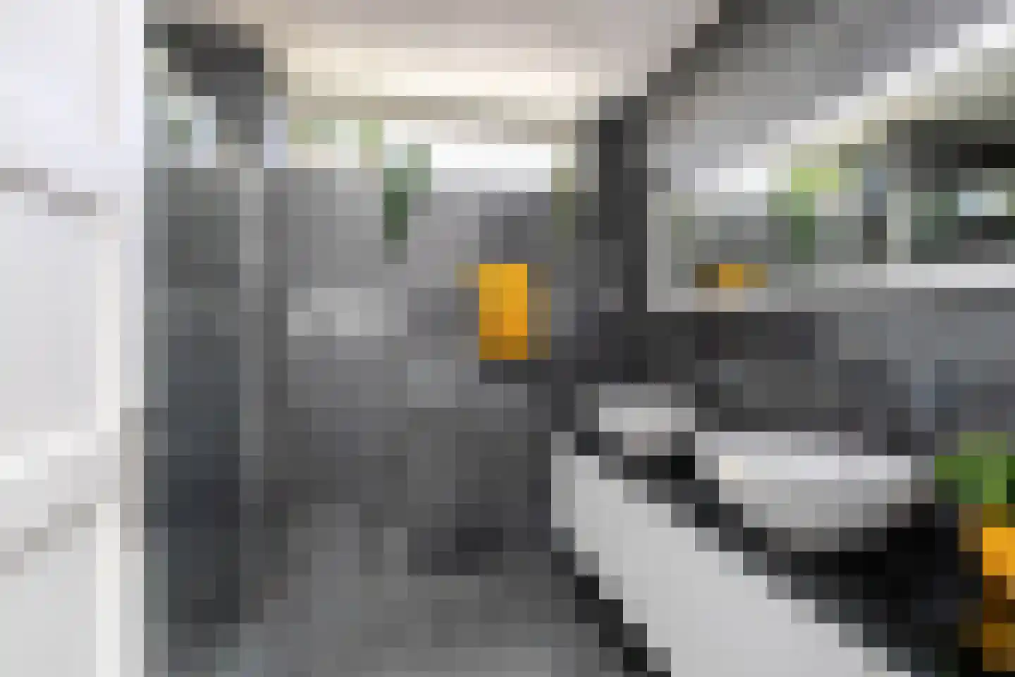 Naweg 11 Gieten thumbnail 22
