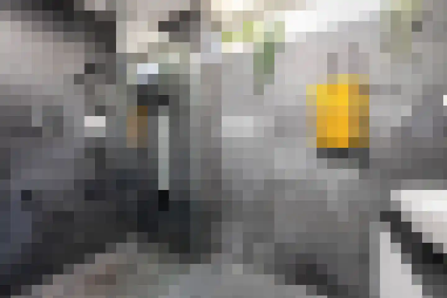Naweg 11 Gieten thumbnail 23