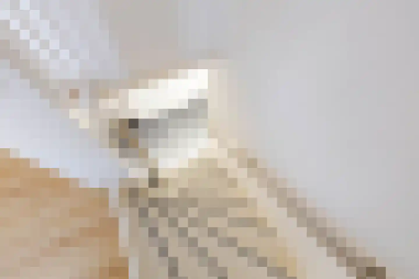 Naweg 11 Gieten thumbnail 30
