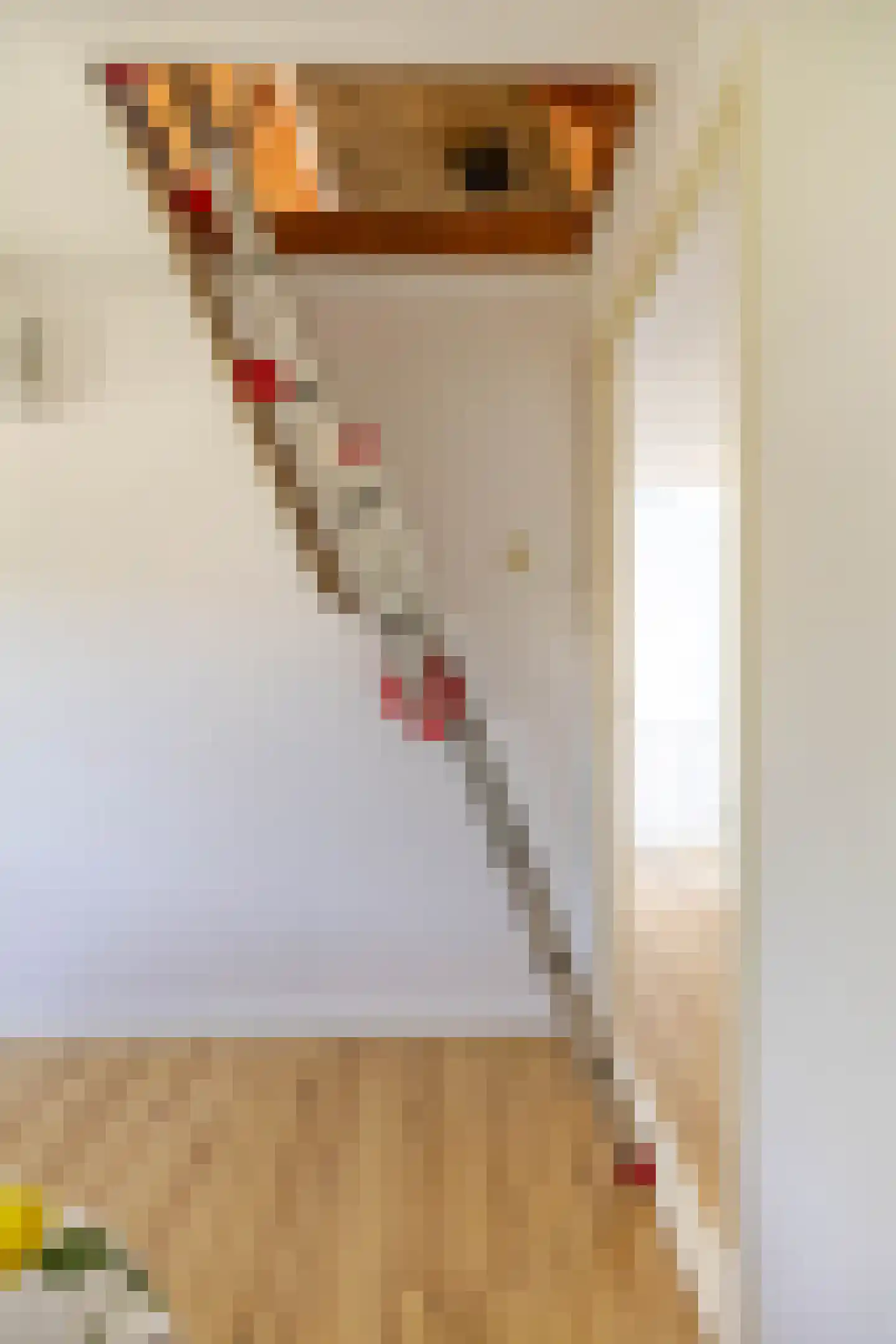 Naweg 11 Gieten thumbnail 37