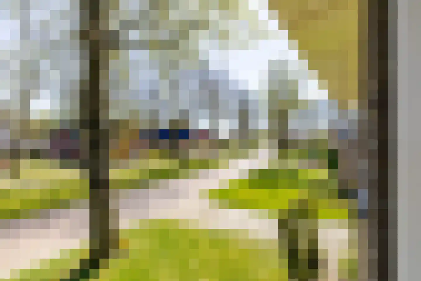 Naweg 11 Gieten thumbnail 47