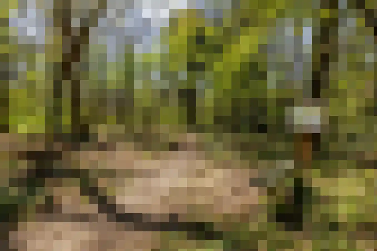 Naweg 11 Gieten thumbnail 53