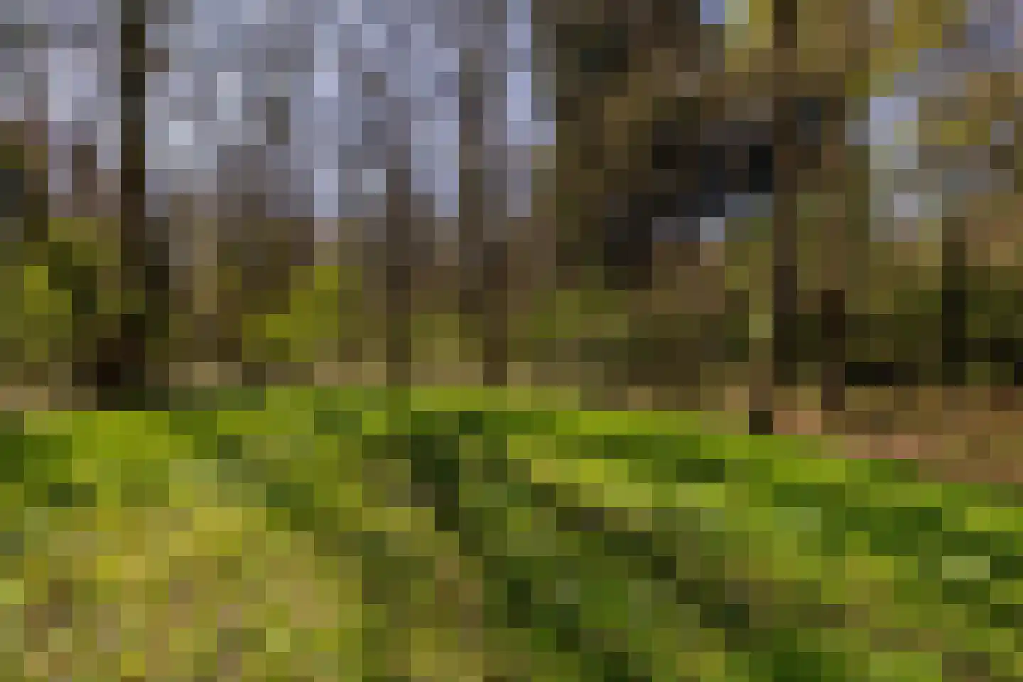 Naweg 11 Gieten thumbnail 54