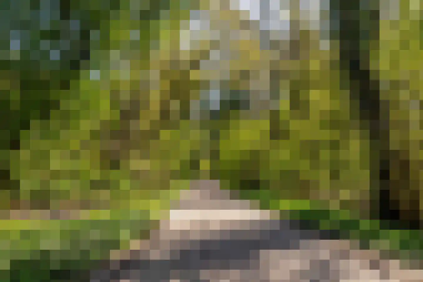 Naweg 11 Gieten thumbnail 55