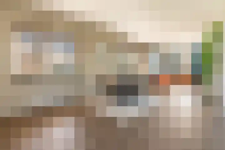 Naweg 15 Eext thumbnail 20