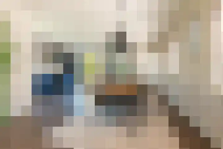 Naweg 15 Eext thumbnail 24