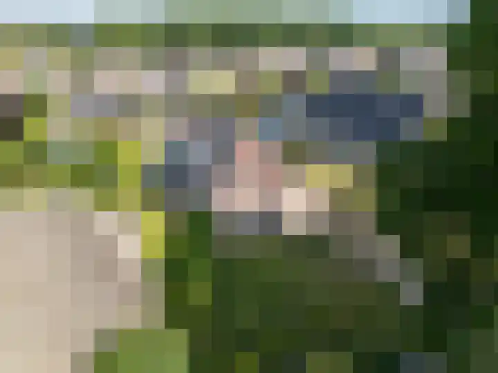 Naweg 15 Eext thumbnail 41