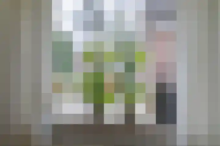 Naweg 41 Gieten thumbnail 20
