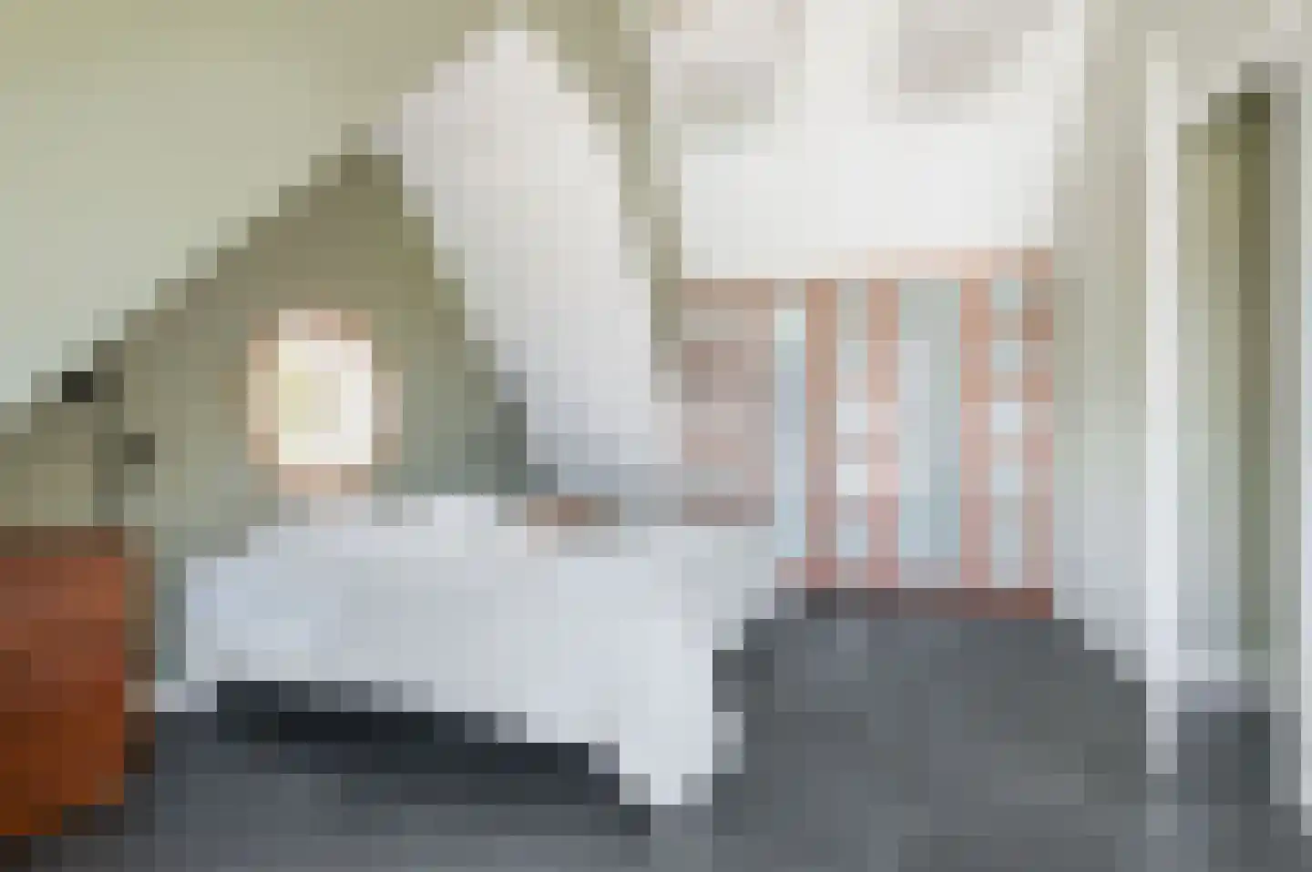 Naxos 34 Hoofddorp thumbnail 30