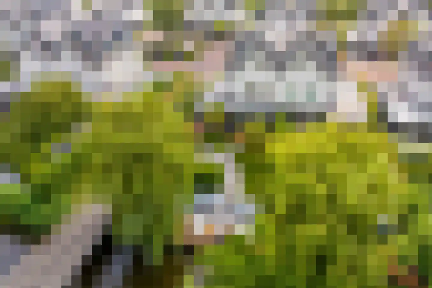 Naxos 34 Hoofddorp thumbnail 36