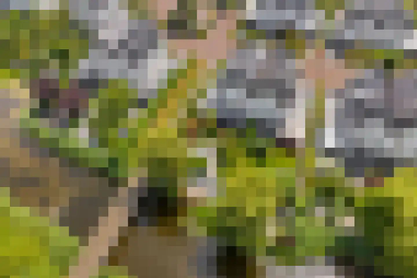 Naxos 34 Hoofddorp thumbnail 52