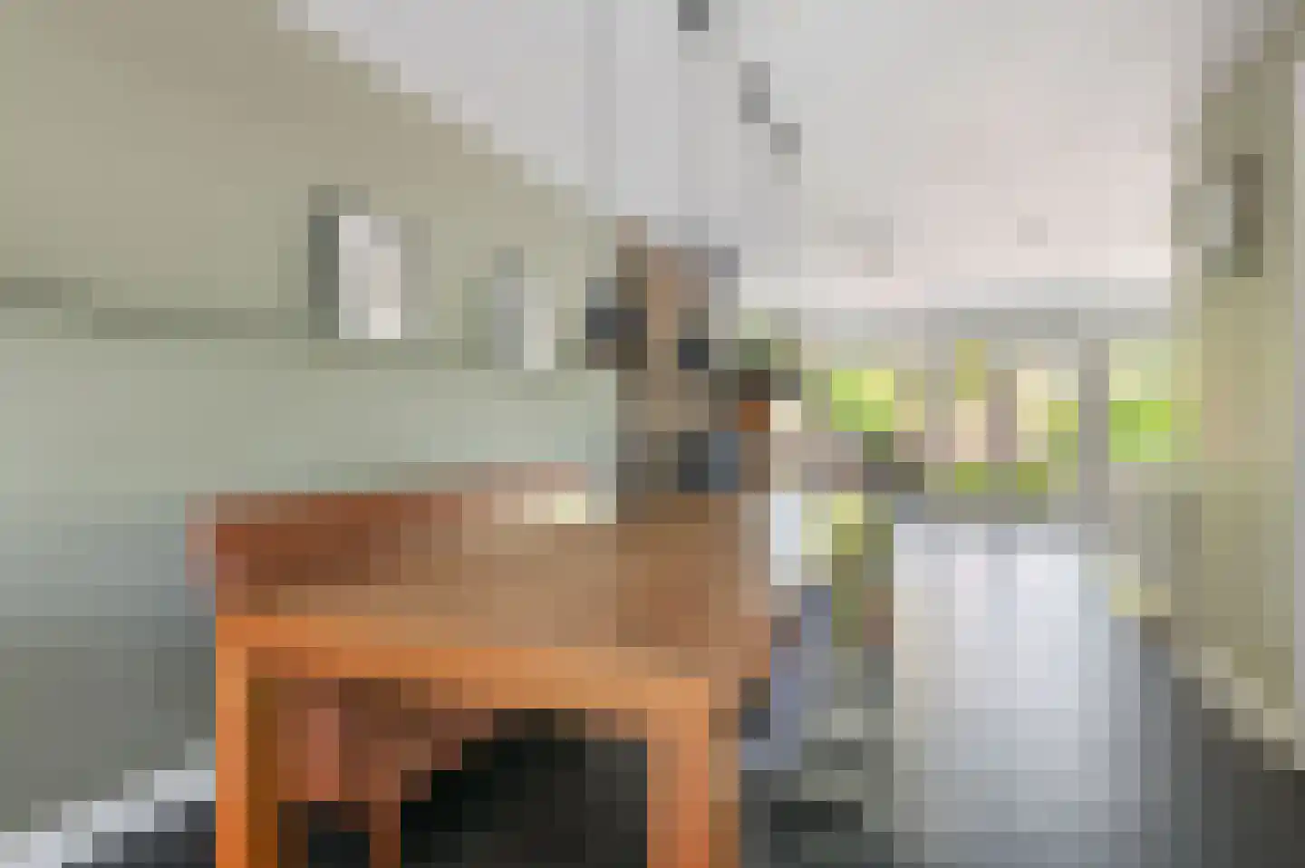 Naxos 34 Hoofddorp thumbnail 8