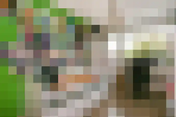 Naxosdreef 103 Utrecht thumbnail 19
