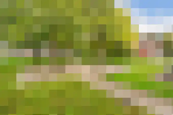 Naxosdreef 103 Utrecht thumbnail 23