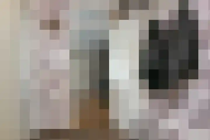 Naxosdreef 103 Utrecht thumbnail 5
