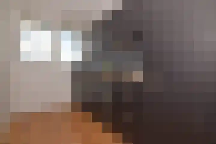 Naxosdreef 153 Utrecht thumbnail 9