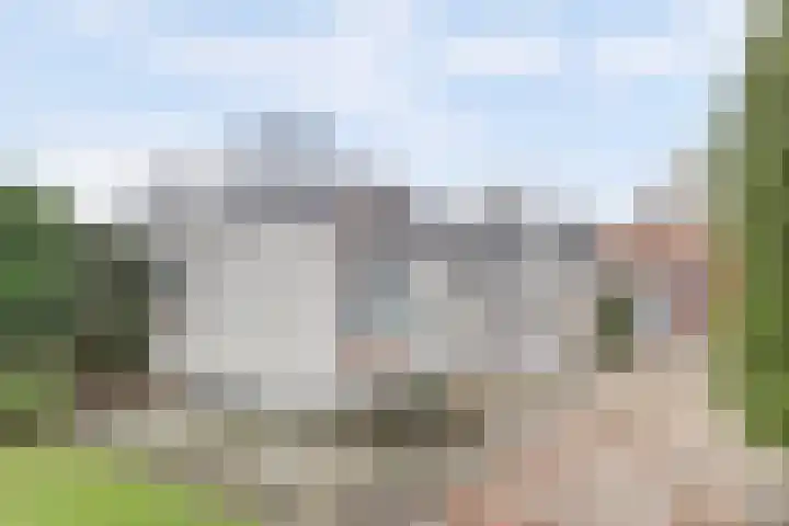 Nazareth 1 's-Gravenpolder thumbnail 28