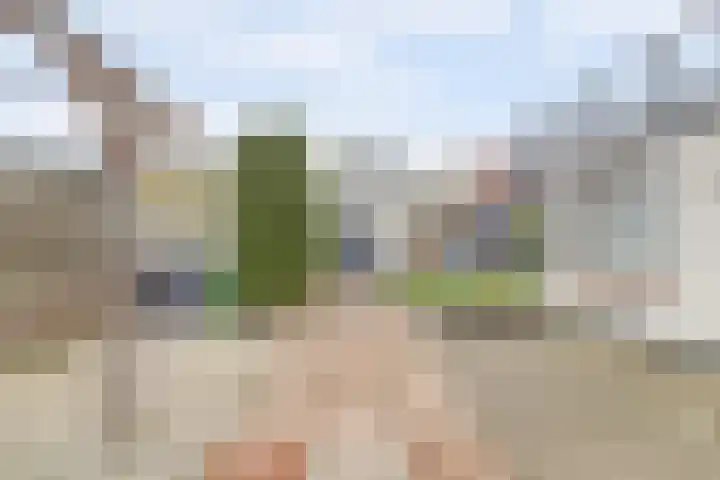 Nazareth 1 's-Gravenpolder thumbnail 29