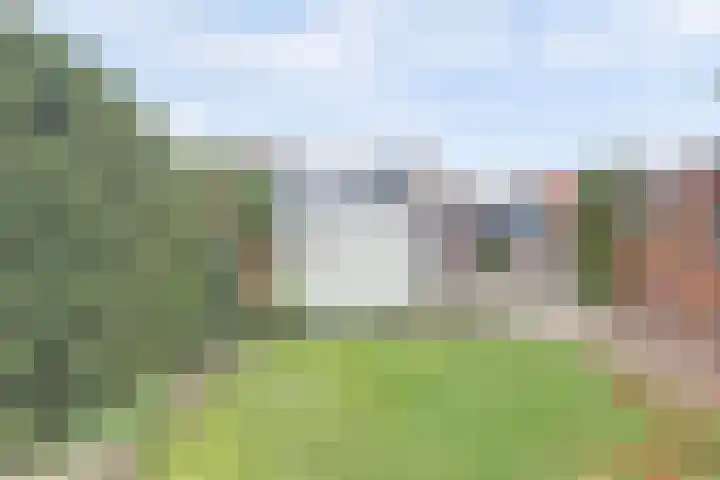 Nazareth 1 's-Gravenpolder thumbnail 34