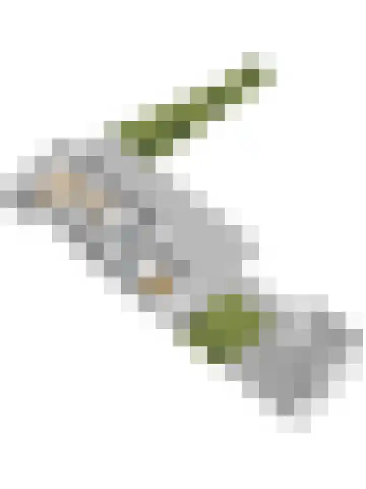 Nazareth 1 's-Gravenpolder thumbnail 39