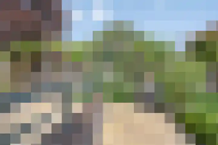 Nazareth 10 's-Gravenpolder thumbnail 69