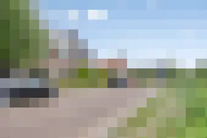 Nazareth 10 's-Gravenpolder thumbnail 7