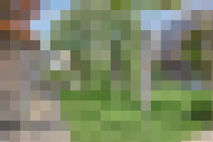 Nazareth 10 's-Gravenpolder thumbnail 70