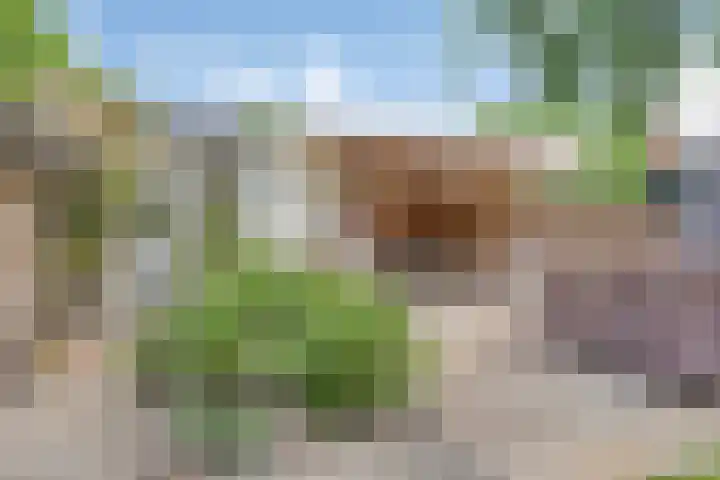Nazareth 10 's-Gravenpolder thumbnail 74