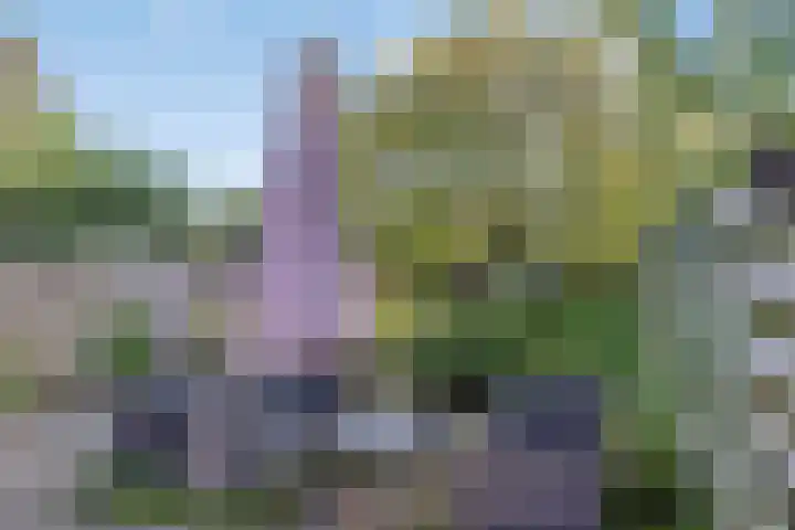 Nazareth 19 's-Gravenpolder thumbnail 25