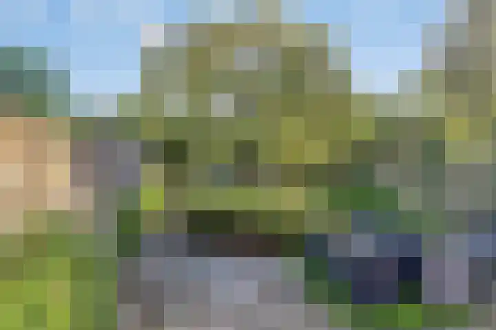 Nazareth 19 's-Gravenpolder thumbnail 26
