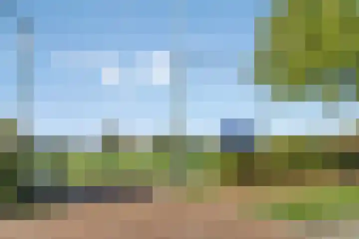Nazareth 19 's-Gravenpolder thumbnail 29