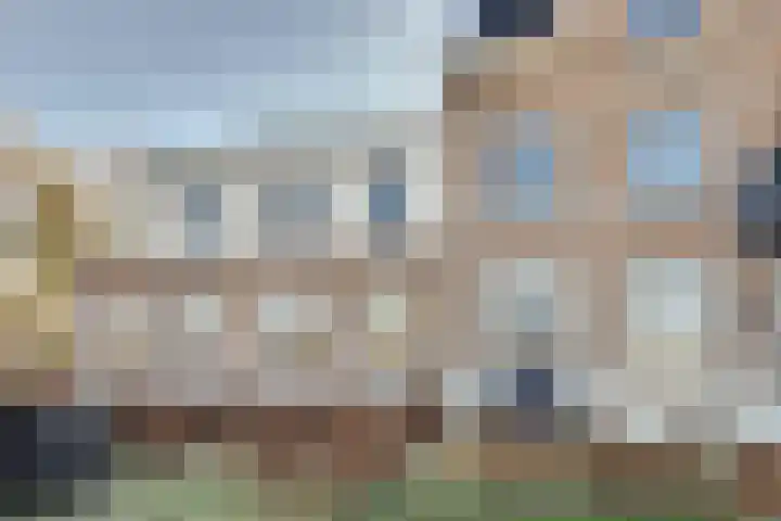 Nazareth 4 09 Wolphaartsdijk thumbnail 21
