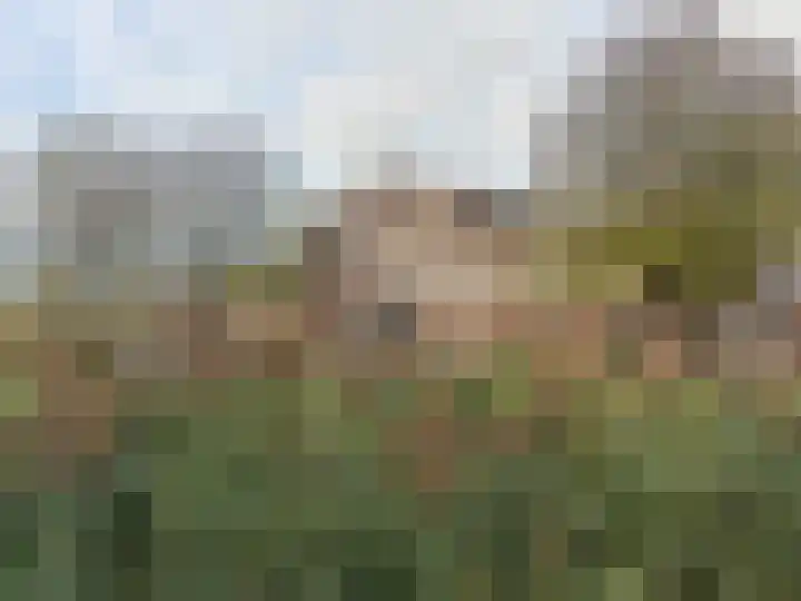 Nazareth 4 09 Wolphaartsdijk thumbnail 29