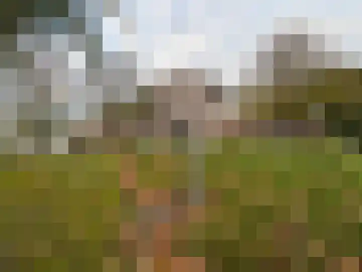 Nazareth 4 09 Wolphaartsdijk thumbnail 31