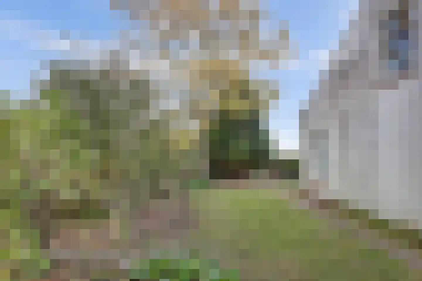 Nazareth 6 Wolphaartsdijk thumbnail 23