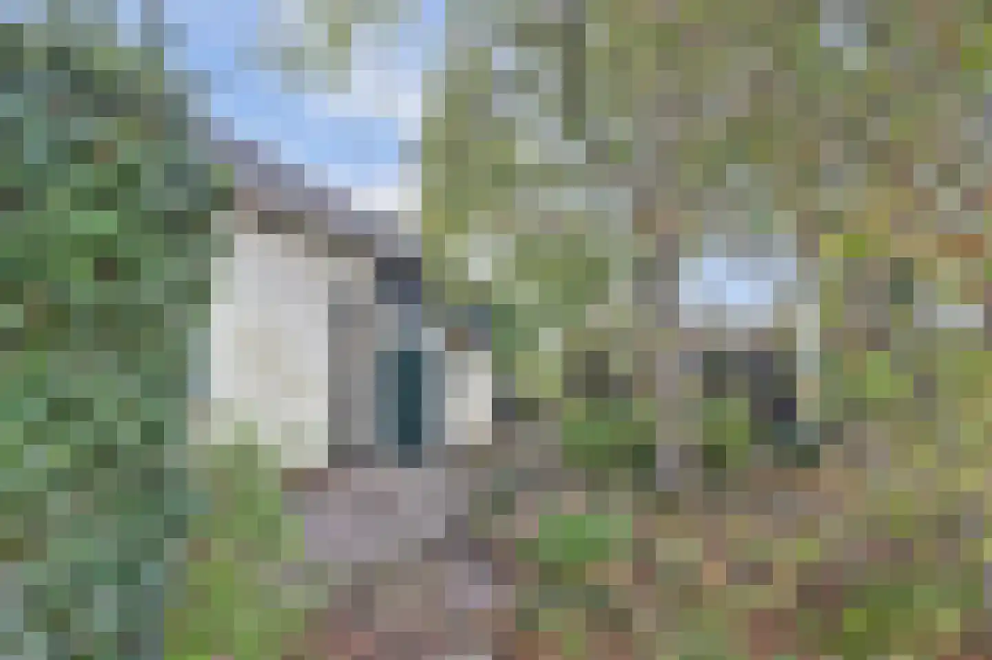 Nazareth 6 Wolphaartsdijk thumbnail 25